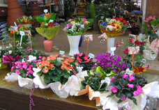 fleuriste
